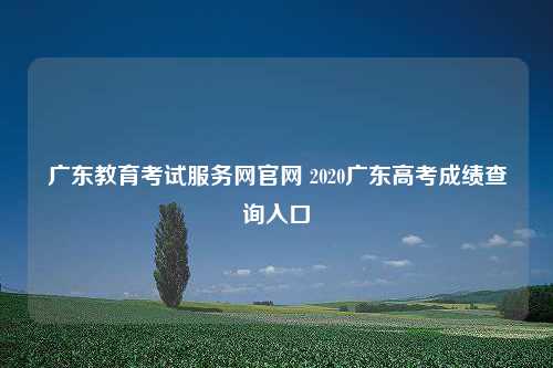 广东教育考试服务网官网 2020广东高考成绩查询入口